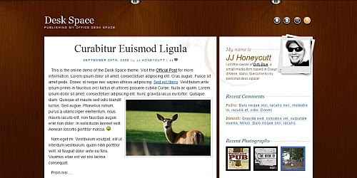 WordPress Theme