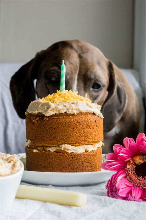 mini dog birthday cake recipe  almond eater recipes