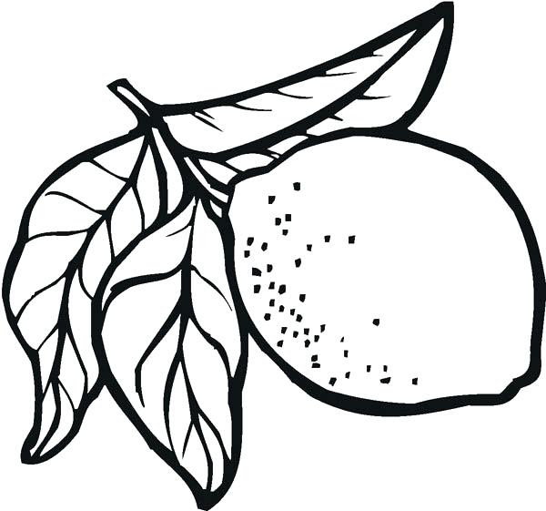 Lemon Coloring Page at GetDrawings | Free download