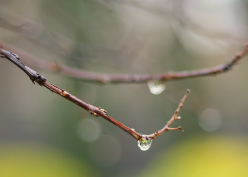 Rainy Day