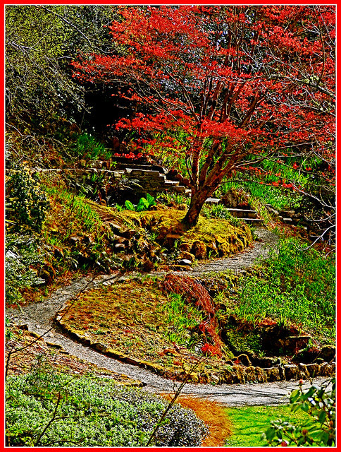 In Glenveagh Castle gardens. by Geoff. McElwaine