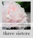 Three Sisterz