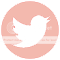  photo AnneTWI_zps54337726.png
