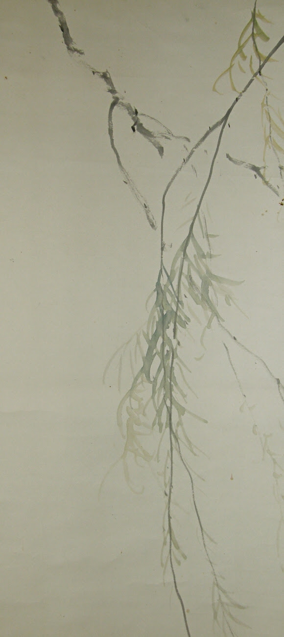 Yanagi Tree Branch (Willow)