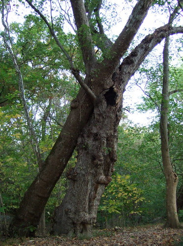 DSCF3531.jpg