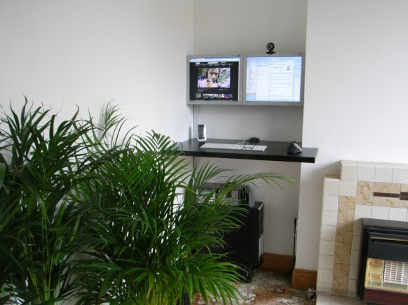 Indoor Plants to use in Living Spaces