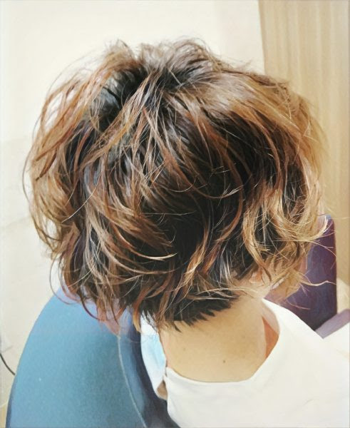 セシルのもくろみ 真木よう子髪型 Ipse イプセ