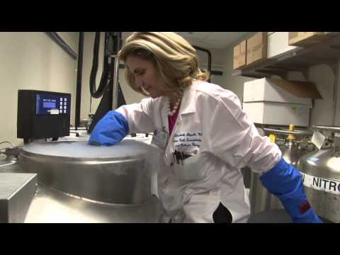 Youtube Cord Blood Expansion Technology