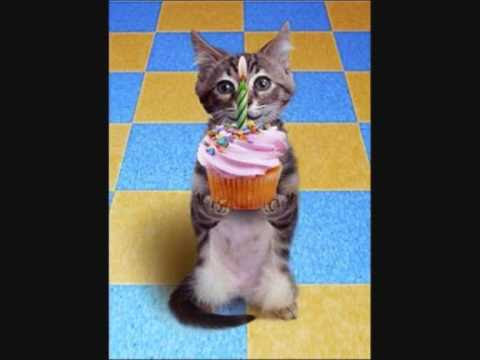 sprüche zum geburtstag reinfeiern