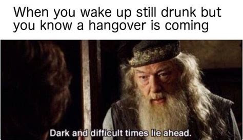 When my life is stormy, there is . 23 Hilarious Drinking Memes For Anyone Who Has A