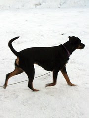 Lola_12010