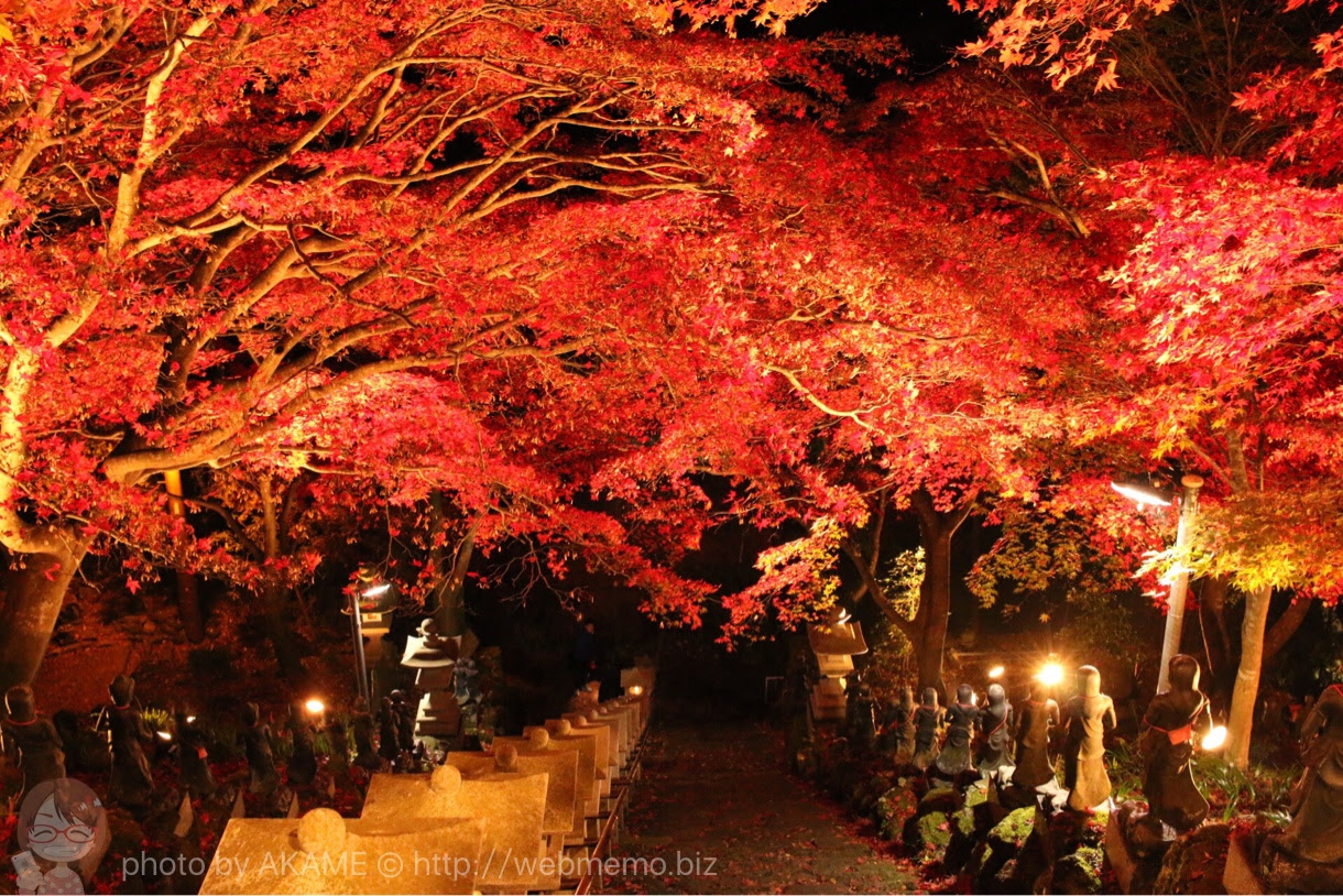 A 神奈川県 大山寺 阿夫利神社 のライトアップ紅葉が見頃 1度は見たい絶景広がる あかめ女子のwebメモ
