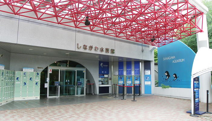 しながわ水族館 水族館 Tokyoおでかけガイド