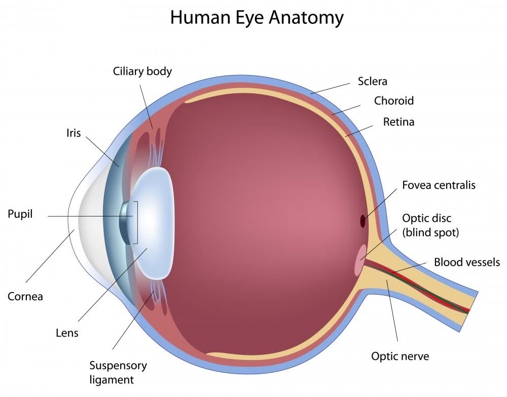  act on cases of congenital eye defect that affect a child's vision