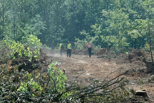 426242_514246571937274_1293459845_n