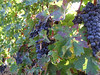 Herbst 2007