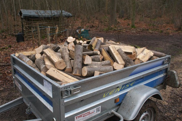DSC_5478 logs in a trailer