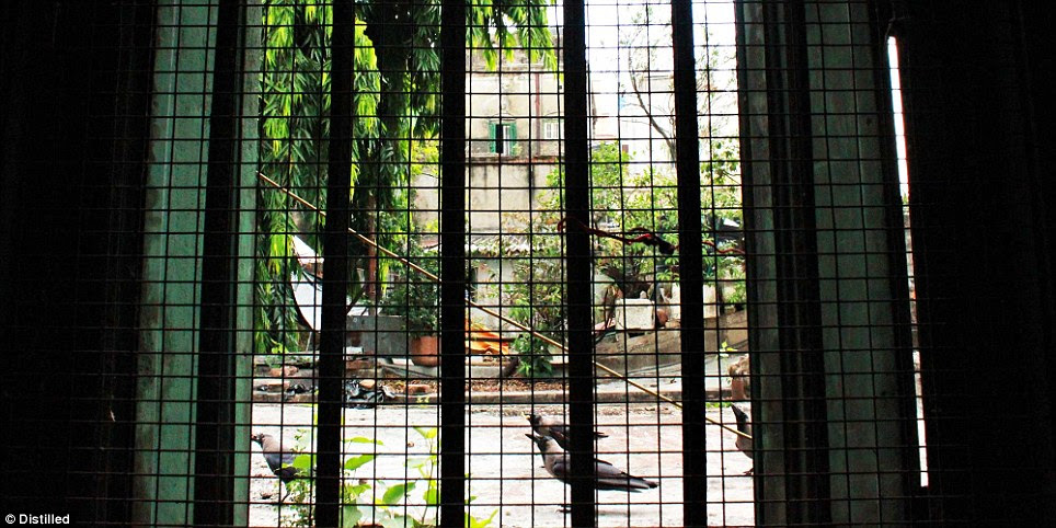 During the day, crows can be seen outside the old homes in Kolkata.