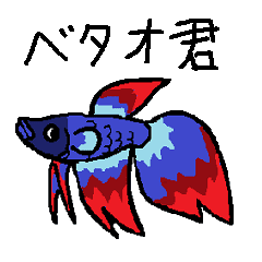 かわいい熱帯魚ベタの ベタオ君 Lineスタンプランキング ルシェ Lineスタンプランキング ルシェ