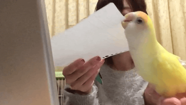 名無しさん おーぷん Sage 16 11 24 木 14 32 23 Id 8q9 Ske48チームk の高柳明音ちゃんを応援するスレ Br Br Amp 160 プロフィール Br Ttp Www Ske48 Co Jp Memberinfo Profile Php Id Takayanagi Akane Br ニックネーム ちゅり Br