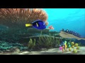 √70以上 ドリー 魚の 種類 330732-ドリー 魚の種類