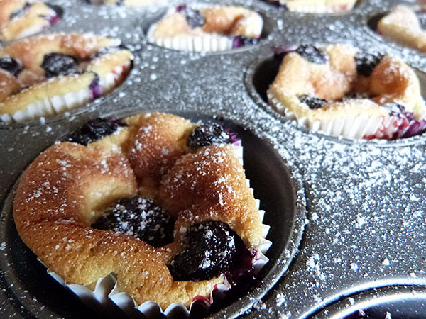 muffins myrtilles 1