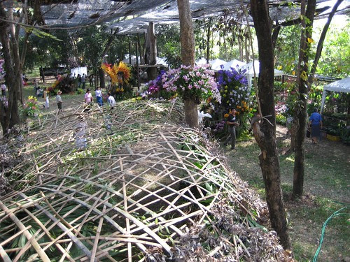 Rose Garden: Orchid  Market under net canopy