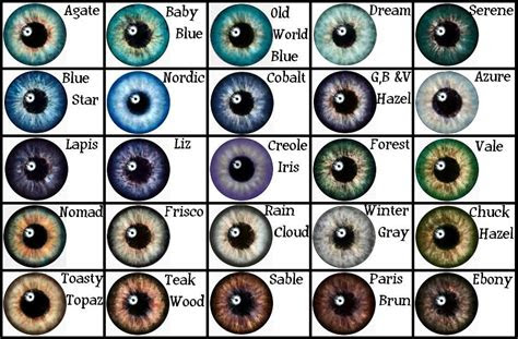  an overview of eye color percentages across the world mississippi eye