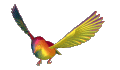 gif_oiseau_banniere_logo