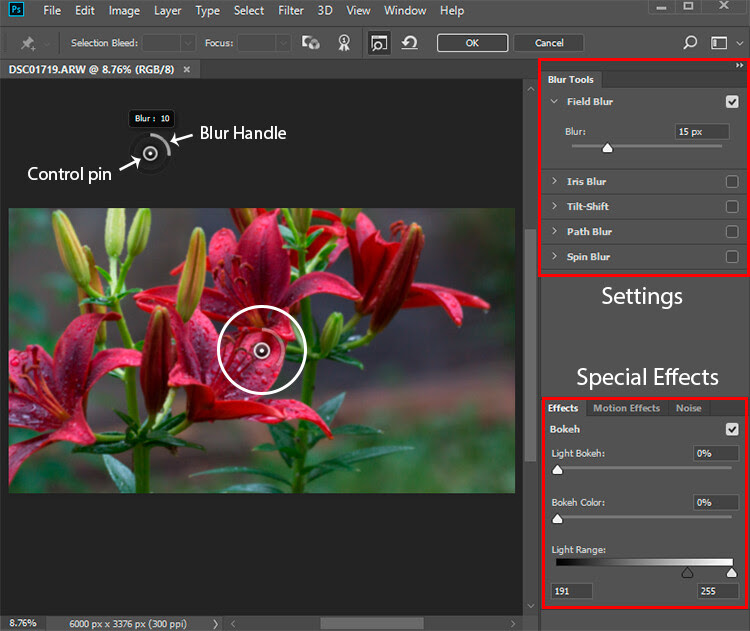 How to Create Realistic Bokeh and Blur Effects using Photoshop