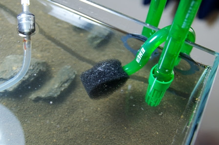 45f 水深16cmの水草水槽 水流を弱めるために
