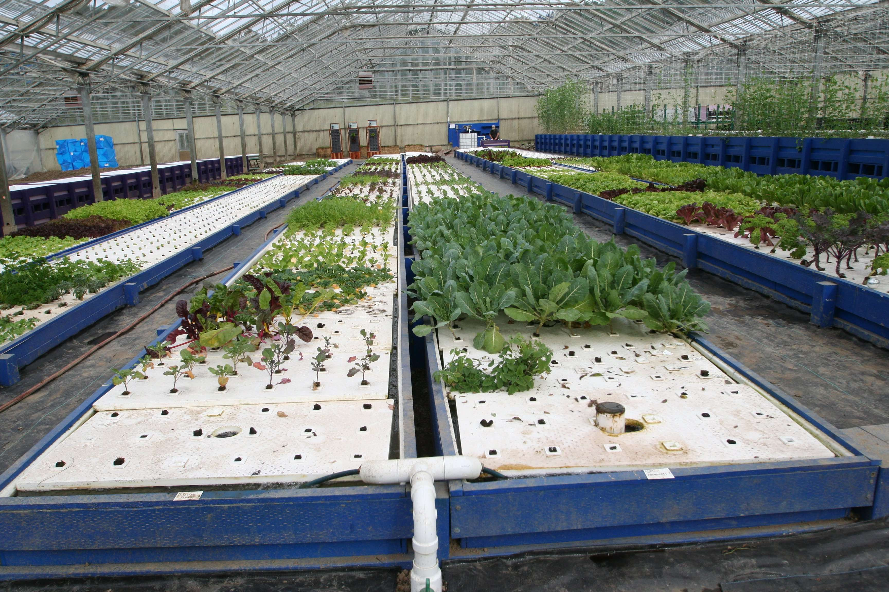They announced their first 5 day commercial aquaponics training course ...