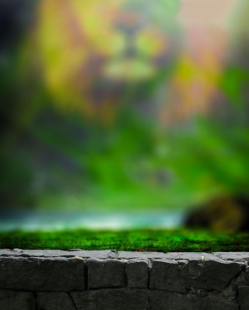 Ide Penting Background Photographie, Background Taman