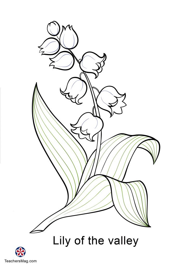 Spring Flowers Printables and Coloring Sheets for Kids2