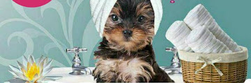 Posh Pets Grooming Hinckley