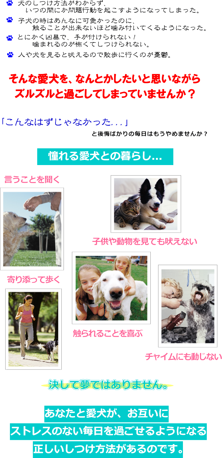 犬のしつけ 噛む犬の専門トレーナー山本卓のしつけ法