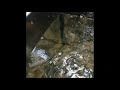 ナマコ 赤い液体 303428-ナマコ 赤い液体