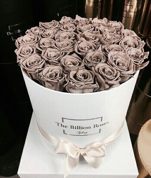 The Billion Roses Pictures, Photos, and Images for 