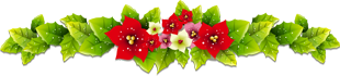 Non Stop Beautiful Shayaries More Only @ Beautiful-Shayari Group