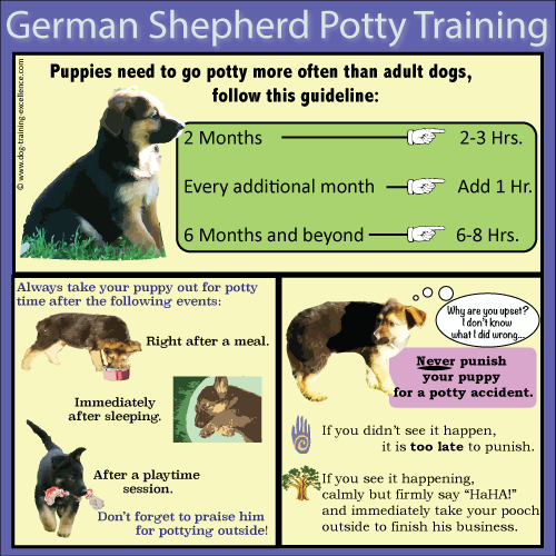 Where are free dogs, gsd training schedule, best commands ...