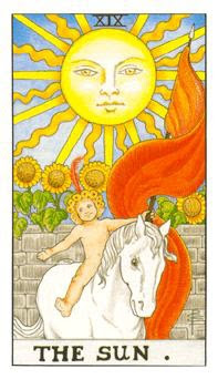 19