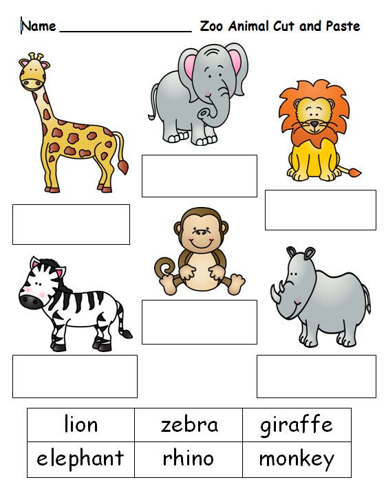 zoo animals worksheet for kids - Clip Art Library
