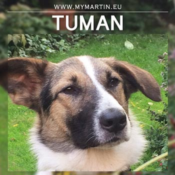 Tuman - MyMartin