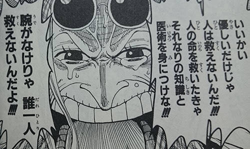 腕がなけりゃ 誰一人救えないんだよ 名言集 ワンピース魂