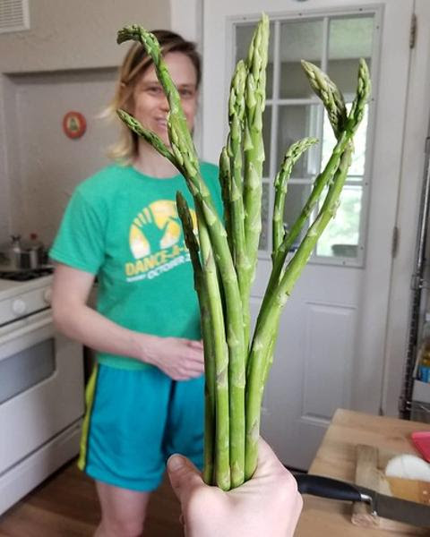 花束の代わりにアスパラガス 花言葉はアスハナガサクだ 観葉植物へのボケ 43 ボケて Bokete