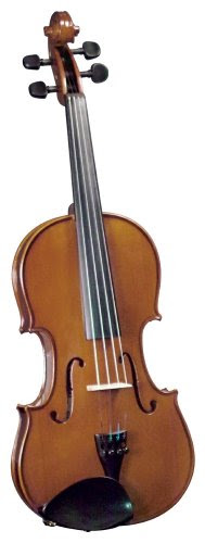 violinist tips for beginner Your Of Tips How Make To Violin   Sense Options â Beginner Violin