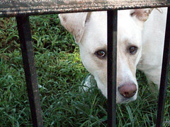 Zeus_82008