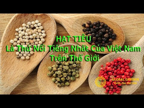 Hạt tiêu là thứ nổi tiếng nhất của Việt Nam trên thế giới 
