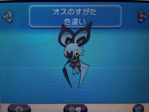 色違いいつ出るんだよ 色オンバット