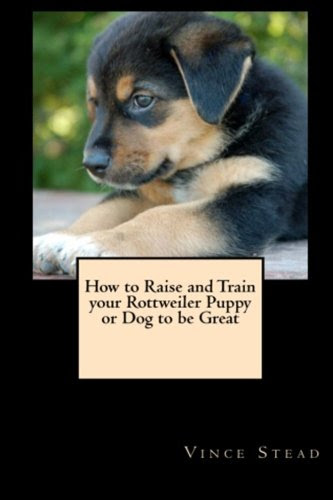 How to Raise and Train your Rottweiler Puppy or Dog to be Great